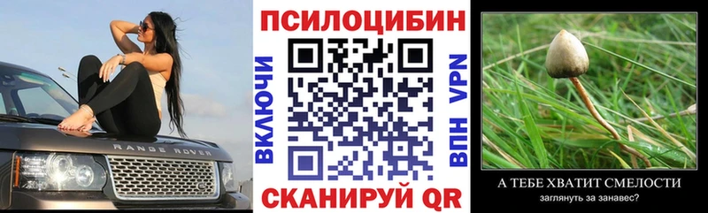 Купить  Жердевка  Псилоцибиновые грибы мицелий 
